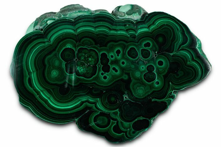 Flowery Polished Malachite Slab - DR Congo #350843